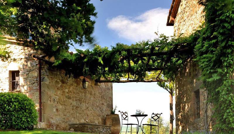 Beautiful Garden with Greem and Vine