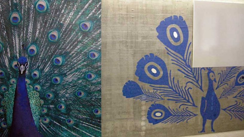 Beautiful Peacock Wall Art Design