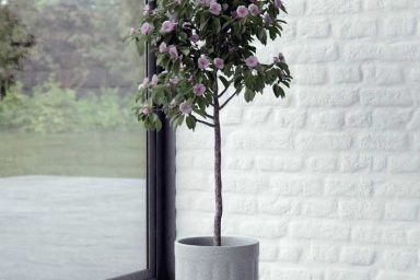 Interior Corner Plant with Brick Wall