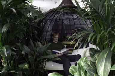 Jungle Lounge Google Zurich Office