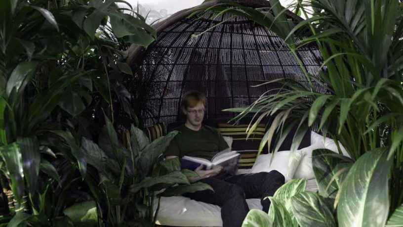 Jungle Lounge Google Zurich Office
