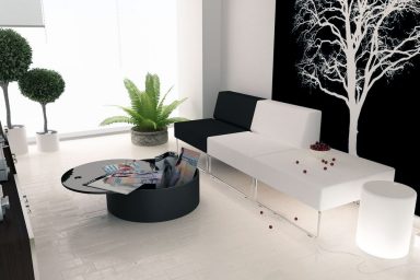 Modern Black White Living Room with Plant