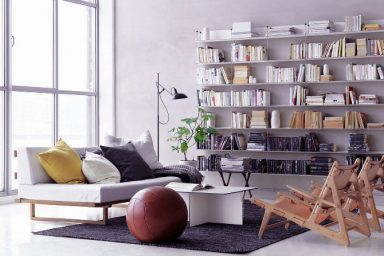 Bright Scandinavian Living Room with Bookshelves Ideas