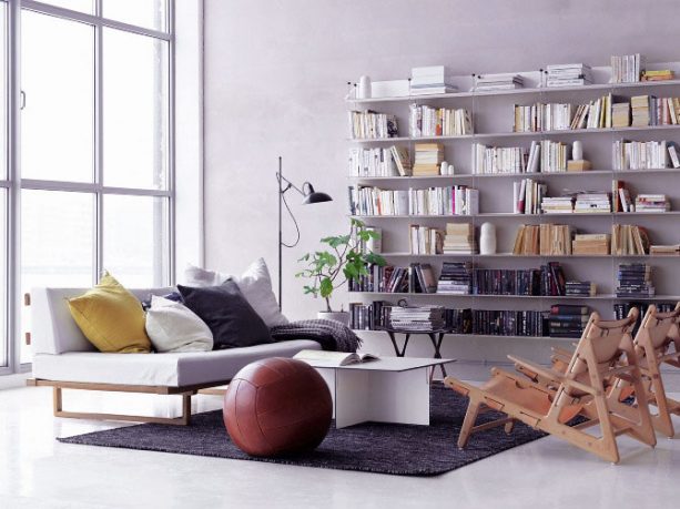 Bright Scandinavian Living Room with Bookshelves Ideas