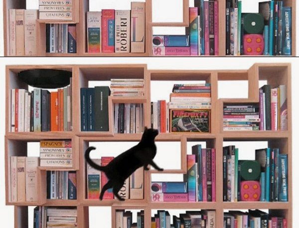 Functional Wooden Bookcase Cat Friendly Design Ideas