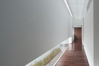 Contemporary Hallway Design Ideas with Planters Decorations
