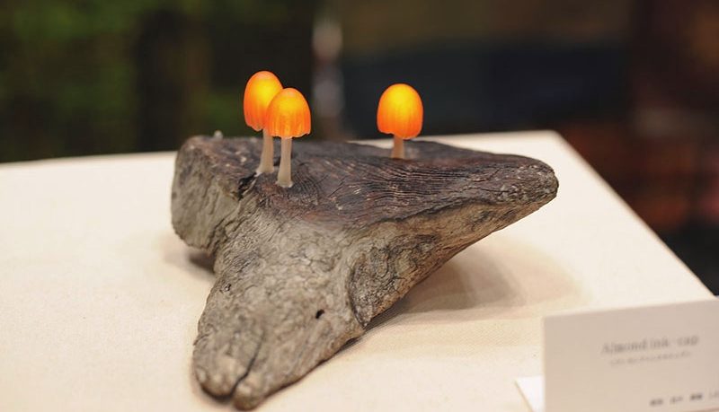 Magic Mushroom Lamp Design Decor