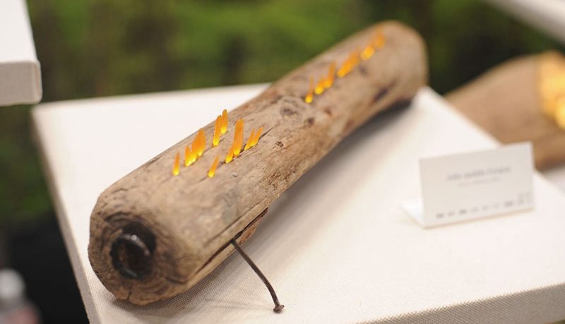 Tiny Mushroom Lamp Ideas From Japan
