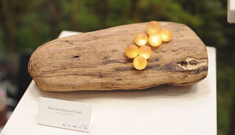 Unique Enoki Mushroom Lamp by Great Mushrooming