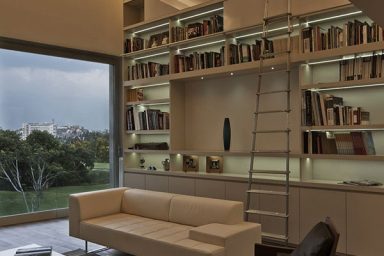 Charming Home Library Design Ideas with Minimalist Ladder
