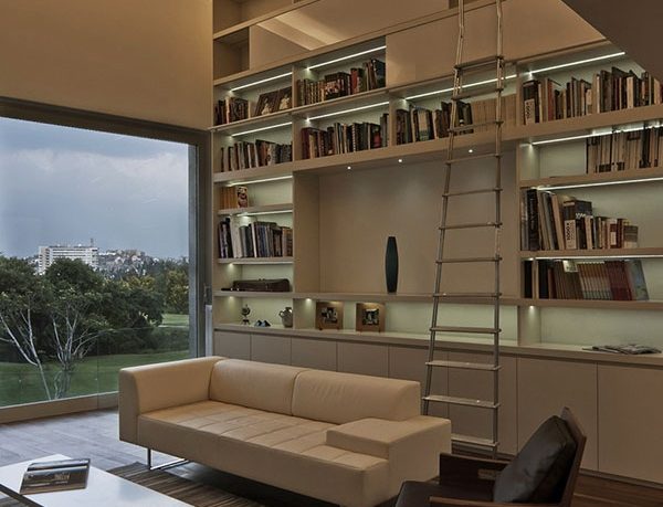 Charming Home Library Design Ideas with Minimalist Ladder