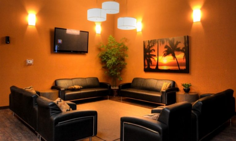 Black leather couches