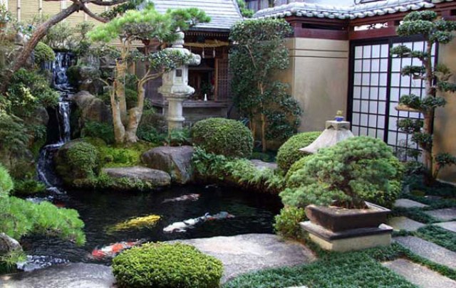 Asian style garden with gold fish