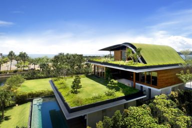 garden on top of house design