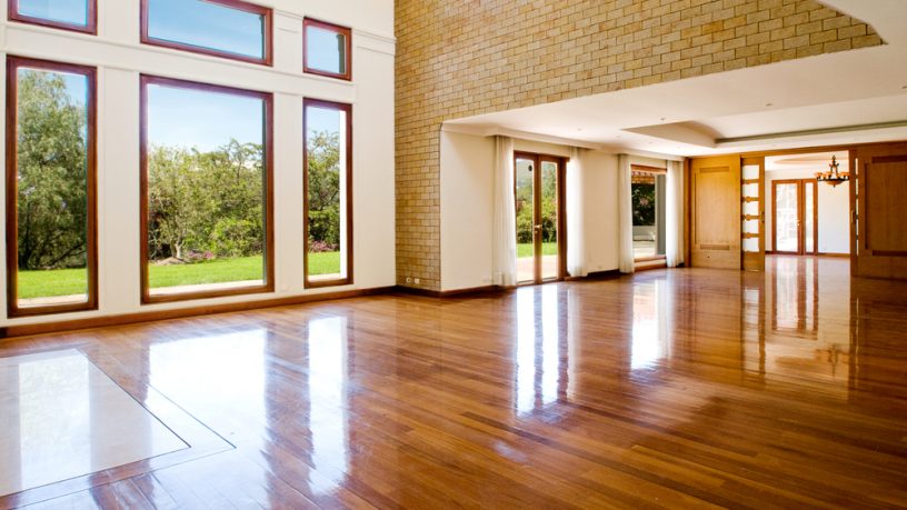 Natural lighting with wood floor