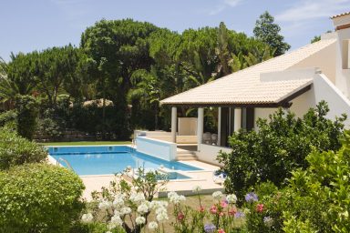 Amazing pool in forest area