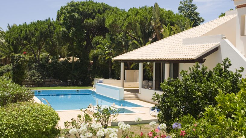 Amazing pool in forest area