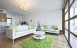 Cool green rug in living room