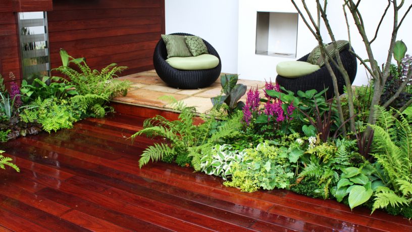 Modern garden with wood flooring