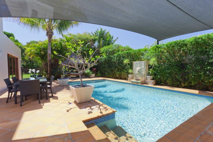 Amazing pool in backyard